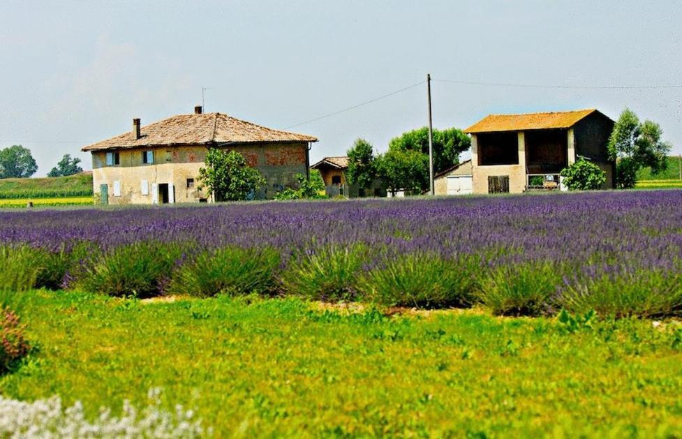 Il Murello Fiorentina Ngoại thất bức ảnh